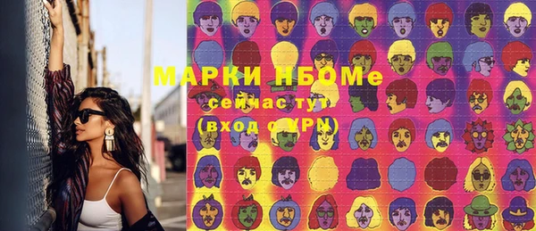 метадон Алексин