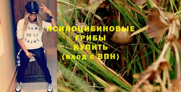 соль ск Алексеевка