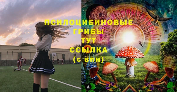соль ск Алексеевка