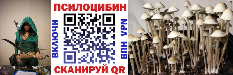 Псилоцибиновые грибы прущие грибы  где можно купить наркотик  Суровикино 