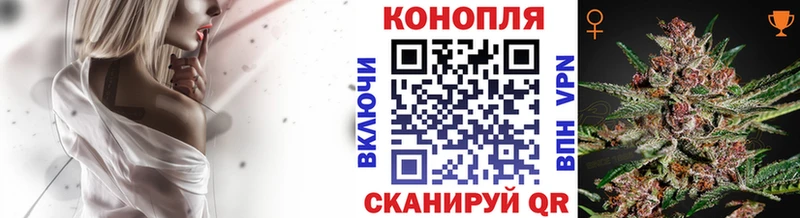площадка какой сайт  купить наркотик  Суровикино  МАРИХУАНА конопля 